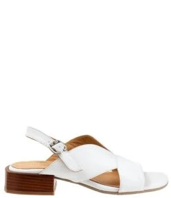 Bueno Gabby Leather Sandals -Hummel Winkel 00000000 zi ab910e95 6658 409d 892f 5e0fd7838aa2 01 ai