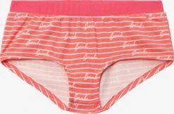 Bench Ondergoed Onderbroek LM LBG Kinderen Gemengde Kleuren -Hummel Winkel 0392c9b94ea23b726afad78249aabb21