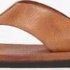 Kazar Slippers Teenslippers Heren Karamel 1 Kazar Slippers Teenslippers Heren Karamel -Hummel Winkel 080dbdbe79e7aa39c287a82385a5bbab