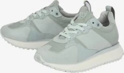 Apple Of Eden Fashion Sneakers Sneakers Laag LOUISA Dames Grijs / Lichtgrijs -Hummel Winkel 11a4734ea926015713343075f2df19fd