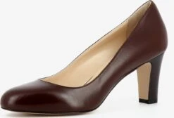 Klassieke Pumps Pumps Dames Bruin
