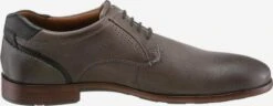 Lloyd Nette Schoenen Veterschoen Marshall Heren Greige -Hummel Winkel 18464a3250734870f929d351a2800f55