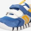 Geox Schoenen Wandelschoen IUPIDOO Kinderen Gemengde Kleuren 2 Geox Schoenen Wandelschoen IUPIDOO Kinderen Gemengde Kleuren -Hummel Winkel 185b8b2dd818eb287cd44ed2934ba3fc
