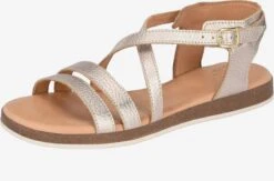Apple Of Eden Sandalen Met Bandjes Sandalen Met Riem IRINA Dames Goud