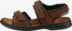 Josef Seibel Sandalen & Pantoffels Sandalen Rafe Heren Bruin -Hummel Winkel 2520f9841f44f03fac4940924dc223ae