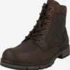 Pius Gabor Boots & Laarzen Veterboots Röhrli Heren Chocoladebruin -Hummel Winkel 2c9f63ae5ffc9382cbb71273da27963f