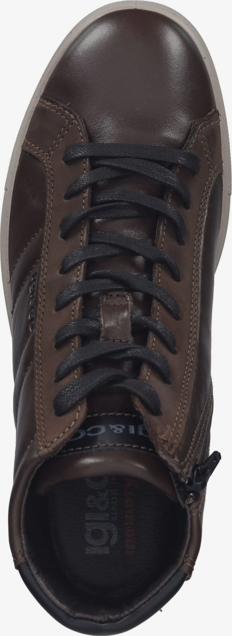 IGI&CO Hoge Sneakers Sneakers Hoog Heren Donkerbruin 8 IGI&CO Hoge Sneakers Sneakers Hoog Heren Donkerbruin - Afbeelding 6