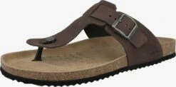 Geox Slippers Teenslippers Ghita Heren Bruin