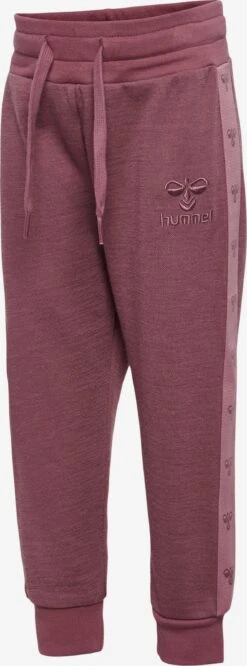 Hummel Kids Regular Sportbroek Kinderen Bessen 8 Hummel Kids Regular Sportbroek Kinderen Bessen -Hummel Winkel 3876c370052dd4d150129100d0322a1a