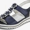 Plateau Sandalen Sandaal Dames Donkerblauw