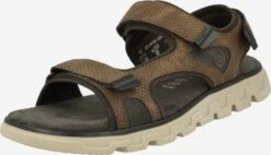 Bugatti Sandalen & Pantoffels Sandalen Creek Heren Ombergrijs / Donkerbruin