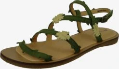 El Naturalista Sandalen & Slippers Sandaal Dames Olijfgroen