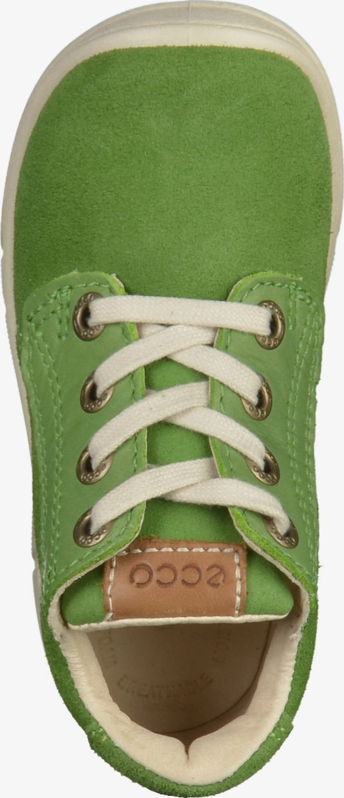 ECCO Lage Schoenen Lage Schoen Kinderen Groen / Appel / Lichtgroen 8 ECCO Lage Schoenen Lage Schoen Kinderen Groen / Appel / Lichtgroen - Afbeelding 6