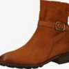 Paul Green Laarzen Boots Dames Karamel 2 Paul Green Laarzen Boots Dames Karamel -Hummel Winkel 56377cc27829da4fa5941165a4a9c826