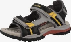 Geox Sandalen Open Schoenen Borealis Kinderen Zwart