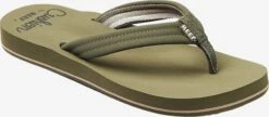 Reef Badslippers Strand-/badschoen Breeze Dames Kaki 8 Reef Badslippers Strand-/badschoen Breeze Dames Kaki -Hummel Winkel 5747e6fbc34c9e765c0a5f7b0a133278