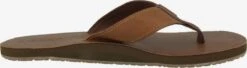 Reef Badslippers Strand-/badschoen Dames Bruin -Hummel Winkel 5f619b02a898d55ed5c68cfb76dca19b