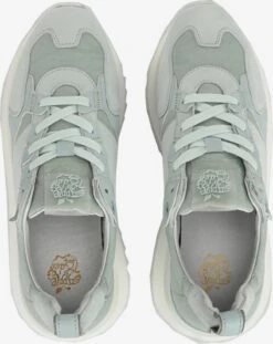 Apple Of Eden Fashion Sneakers Sneakers Laag LOUISA Dames Grijs / Lichtgrijs -Hummel Winkel 61c9bc2655a3417b698e08f238f37ae6