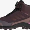 Adidas TERREX Wandelschoenen Boots Kinderen Chocoladebruin / Pueblo