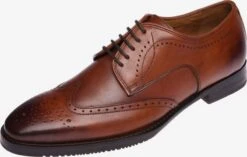 Nette Schoenen Veterschoen Heren Roestbruin