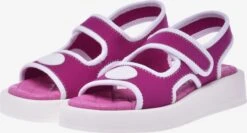 Baldinini Plateau Sandalen Sandaal Dames Lila / Bessen 8 Baldinini Plateau Sandalen Sandaal Dames Lila / Bessen -Hummel Winkel 674a8cb045707e38ca8889545ee7df4b