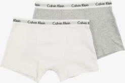 CALVIN KLEIN UNDERWEAR Ondergoed Onderbroek Kinderen Grijs Gemêleerd / Wit