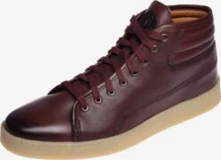 Hoge Sneakers Sneakers Hoog Heren Bourgogne