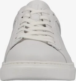 Pius Gabor Casual Sneakers Sneakers Laag Heren Wit -Hummel Winkel 72353f368fb38dc669ceb2edb9f65284