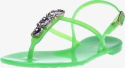 Baldinini Slippers Teenslipper Dames Groen