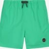 Shiwi Zwemkleding Zwemshorts Kinderen Grasgroen