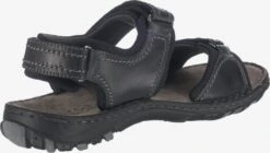 Josef Seibel Sandalen & Pantoffels Sandalen Canim Heren Zwart -Hummel Winkel 88017c74e0e2ce02df21f7cc39c8a42a