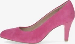 Caprice Klassieke Pumps Pumps Dames Fuchsia 8 Caprice Klassieke Pumps Pumps Dames Fuchsia -Hummel Winkel 8e9d36d2317c92bd1acb0a0d6b03730e