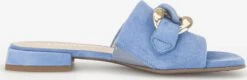 Gabor Klassieke Muiltjes Muiltjes Dames Smoky Blue -Hummel Winkel 8eb2a19da82a156b094d750d9a513cd8