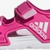 Adidas Sportswear Waterschoenen Strand-/badschoen Altaswim Kinderen Fuchsia -Hummel Winkel 8ec847c67ce39410479839c696f98b22
