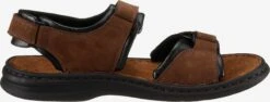 Josef Seibel Sandalen & Pantoffels Sandalen Rafe Heren Bruin -Hummel Winkel 8eee598dc062f381417d258a991d0d07