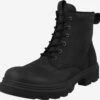 ECCO Boots & Laarzen Veterboots Grainer Heren Zwart -Hummel Winkel a41cc08cd47f19c0419f579ca4c638c0