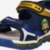 Geox Sandalen Open Schoenen Android Kinderen Royal Blue/koningsblauw