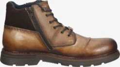 Bugatti Boots & Laarzen Veterboots Heren Kastanjebruin -Hummel Winkel ac04580cd4f1bae4e1fee2ea345b4683