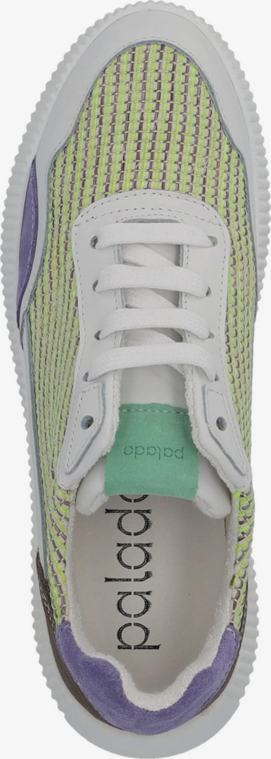 Veterschoenen Veterschoen PA 0034 Dames Gemengde Kleuren 8 Veterschoenen Veterschoen PA 0034 Dames Gemengde Kleuren - Afbeelding 6