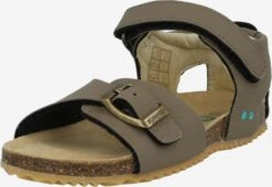 Sandalen Open Schoenen Briz Kinderen Kaki