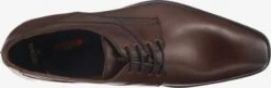 Lloyd Trending Veterschoen Godwin Heren Donkerbruin -Hummel Winkel b22d53a2c978ade67dbed2f80881d58e