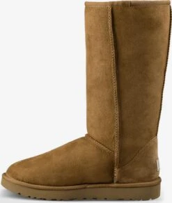 Ugg Laarzen Snowboots Dames Sepia