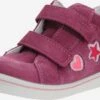 Lage Schoenen Lage Schoen Melina Kinderen Fuchsia / Rosa -Hummel Winkel b3ad09284d3d2f7fef27af3dd04f623c