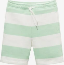 Tom Tailor Shorts Regular Broek Kinderen Groen / Wit