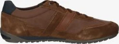 Geox Casual Sneakers Sneakers Laag Heren Bruin -Hummel Winkel b78810987c666d5a1801dac866e50fd1