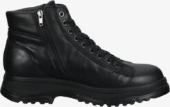 IGI&CO Schoenen Veterschoen Heren Zwart -Hummel Winkel b84e2555b05294b3d755da4965b2509b
