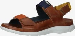 Pikolinos Sandalen & Pantoffels Sandalen Heren Donkerbruin