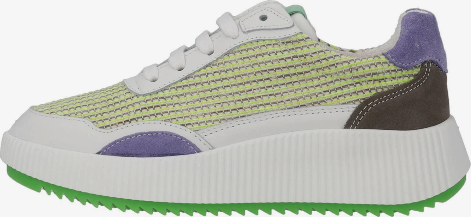 Veterschoenen Veterschoen PA 0034 Dames Gemengde Kleuren 4 Veterschoenen Veterschoen PA 0034 Dames Gemengde Kleuren - Afbeelding 2