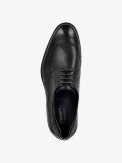 Nette Schoenen Veterschoen Forkan-XL Heren Zwart 14 Nette Schoenen Veterschoen Forkan-XL Heren Zwart -Hummel Winkel c84bda026cd0fbc56363d376b79550e2