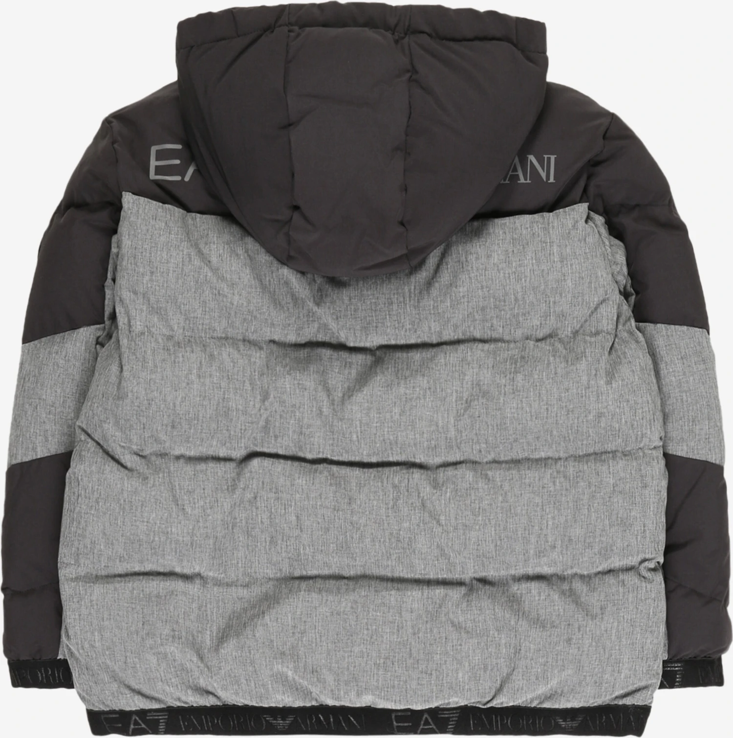 EA7 Emporio Armani Tussenjassen Tussenjas Kinderen Grijs 4 EA7 Emporio Armani Tussenjassen Tussenjas Kinderen Grijs - Afbeelding 2